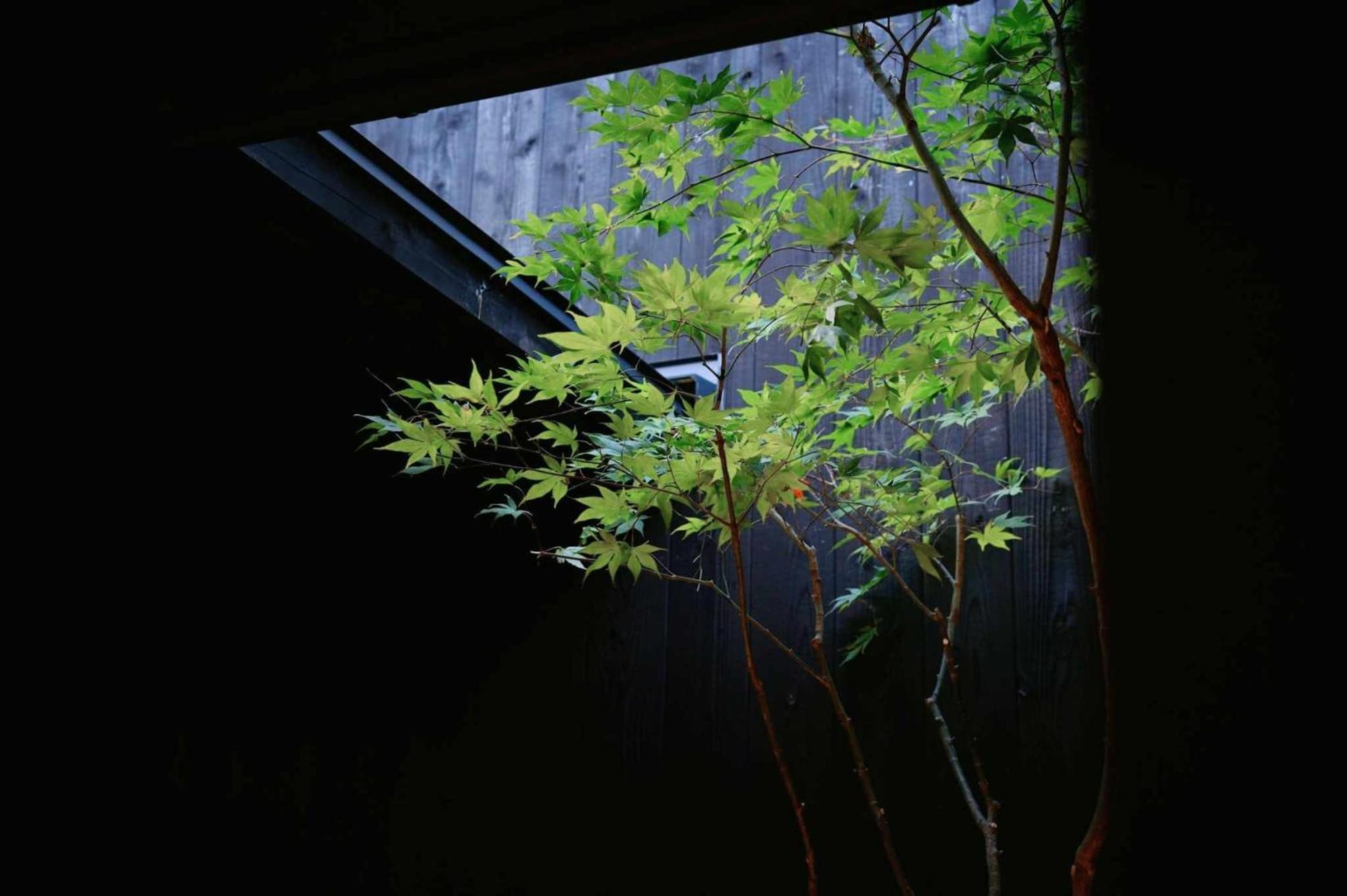 Kyoto Machiya Zeniyacho Villa Exterior photo